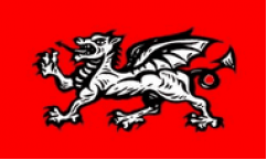 English Wessex Dragon Flags